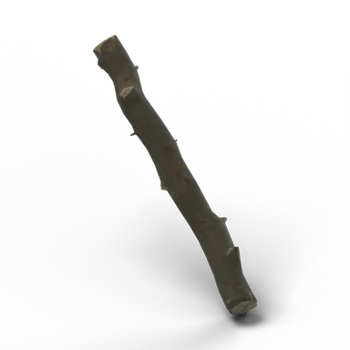 Head Trophy — rendered from the game's model
