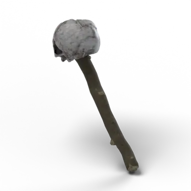 Decorative Skull — rendered from the game's model